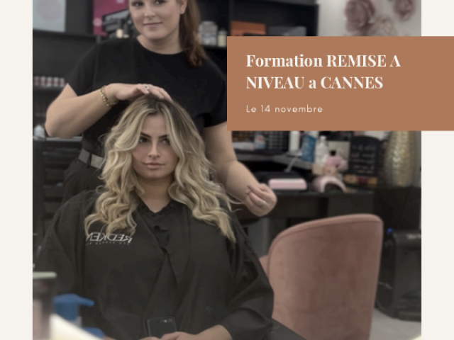 Formation Remise à niveau - Découvrir les techniques Balayage Ombré Contouring